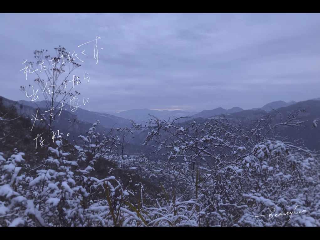 如果法正没有英年早逝的话，刘备能打赢夷陵之战吗？游戏画面