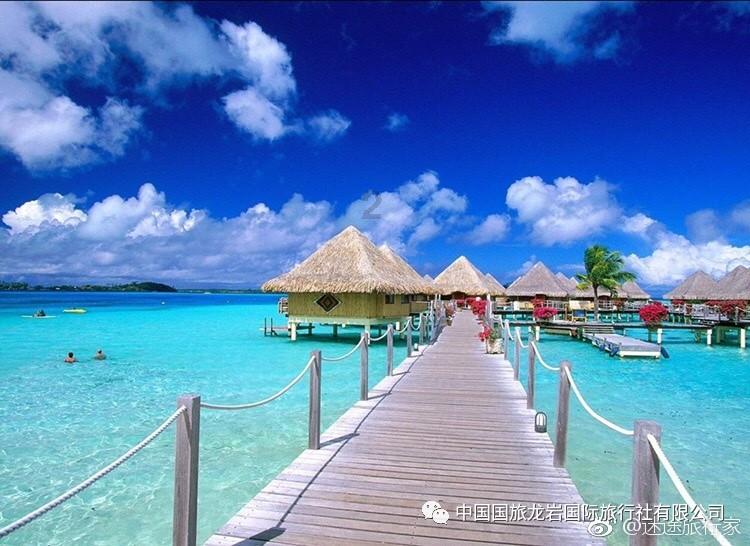 春雨直播app
