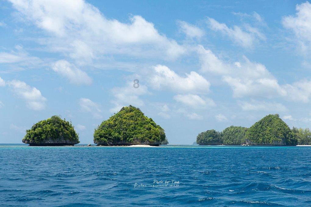 【法治丽江】公益诉讼增殖放流，守护一江清水向东流