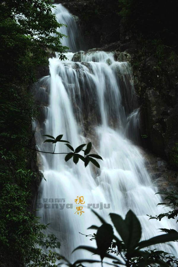 重庆一溶洞地下河中发现濒危物种红点齿蟾