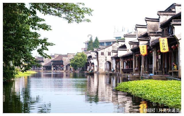 两会好声音丨蒋珍凤:规范统一品种 推动湘米出湘