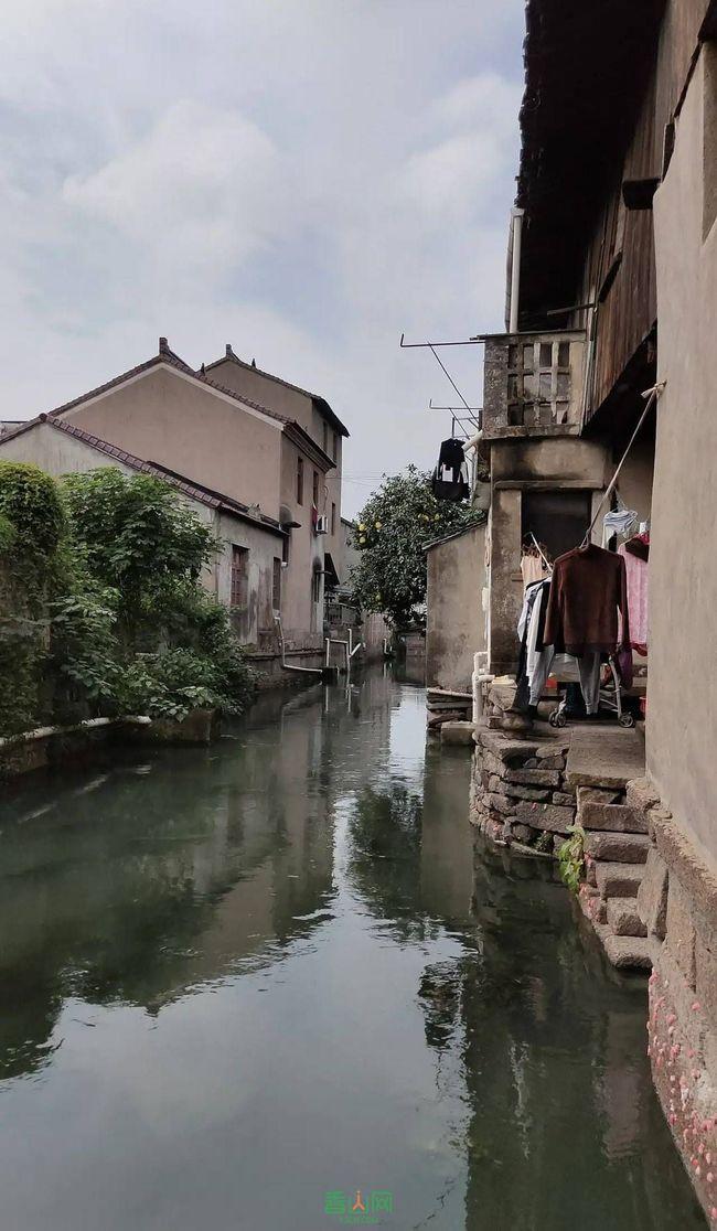 两会好声音丨蒋珍凤：规范统一品种 推动湘米出湘